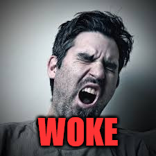stay woke | WOKE | image tagged in blm,libtards,assholes | made w/ Imgflip meme maker