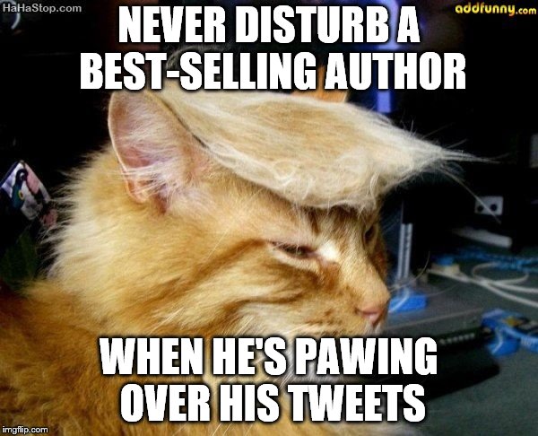donald trump cat | NEVER DISTURB A BEST-SELLING AUTHOR; WHEN HE'S PAWING OVER HIS TWEETS | image tagged in donald trump cat | made w/ Imgflip meme maker