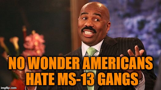 shrug | NO WONDER AMERICANS HATE MS-13 GANGS | image tagged in shrug | made w/ Imgflip meme maker