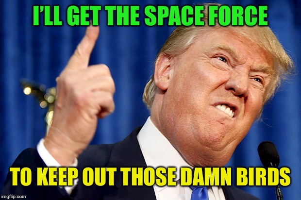 Donald Trump | I’LL GET THE SPACE FORCE TO KEEP OUT THOSE DAMN BIRDS | image tagged in donald trump | made w/ Imgflip meme maker