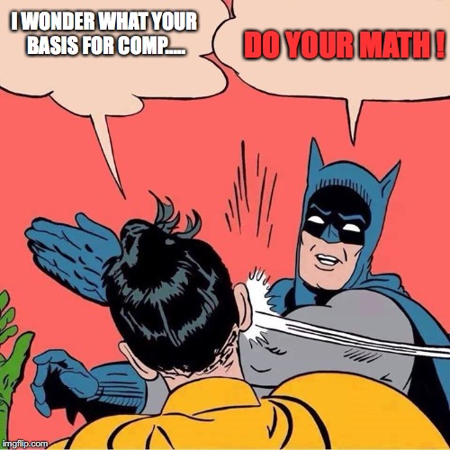 Batman slapping Robin | DO YOUR MATH ! I WONDER WHAT YOUR BASIS FOR COMP..... | image tagged in batman slapping robin | made w/ Imgflip meme maker