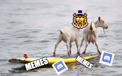 Whatever floats your goat | MEMES; MEMES | image tagged in goat,discord,memes | made w/ Imgflip meme maker