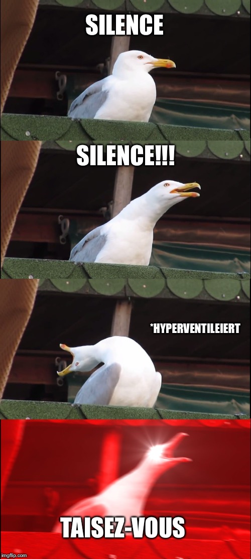 Inhaling Seagull Meme | SILENCE; SILENCE!!! *HYPERVENTILEIERT; TAISEZ-VOUS | image tagged in memes,inhaling seagull | made w/ Imgflip meme maker