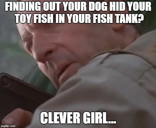 Clever girl  |  FINDING OUT YOUR DOG HID YOUR TOY FISH IN YOUR FISH TANK? CLEVER GIRL... | image tagged in clever girl | made w/ Imgflip meme maker