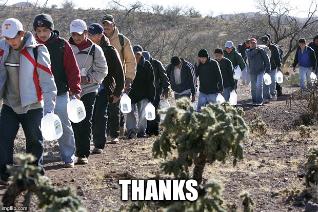 mexican immigration | THANKS | image tagged in mexican immigration | made w/ Imgflip meme maker