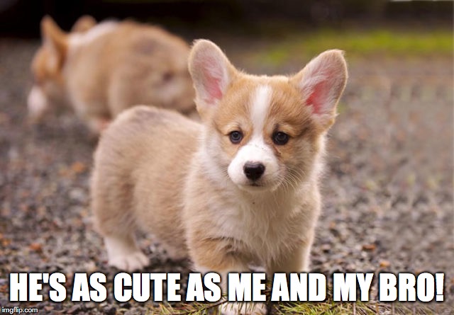 HE'S AS CUTE AS ME AND MY BRO! | made w/ Imgflip meme maker