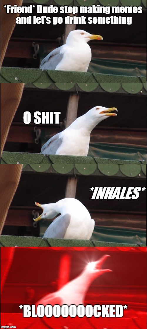 Inhaling Seagull Meme | *Friend* Dude stop making memes and let's go drink something; O SHIT; *INHALES*; *BLOOOOOOOCKED* | image tagged in memes,inhaling seagull | made w/ Imgflip meme maker