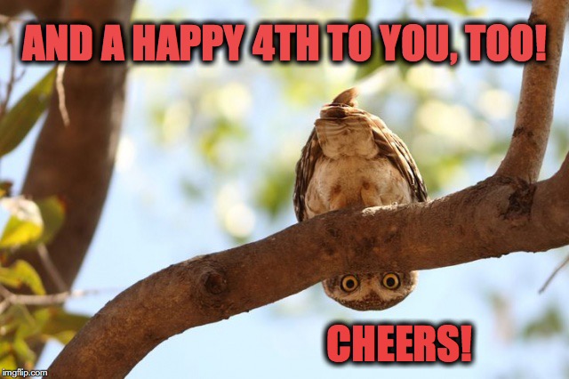 well howdy there | AND A HAPPY 4TH TO YOU, TOO! CHEERS! | image tagged in well howdy there | made w/ Imgflip meme maker