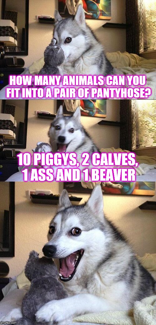 Bad Pun Dog | HOW MANY ANIMALS CAN YOU FIT INTO A PAIR OF PANTYHOSE? 10 PIGGYS, 2 CALVES, 1 ASS AND 1 BEAVER | image tagged in memes,bad pun dog,dirty joke | made w/ Imgflip meme maker