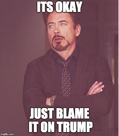 Face You Make Robert Downey Jr Meme | ITS OKAY; JUST BLAME IT ON TRUMP | image tagged in memes,face you make robert downey jr | made w/ Imgflip meme maker