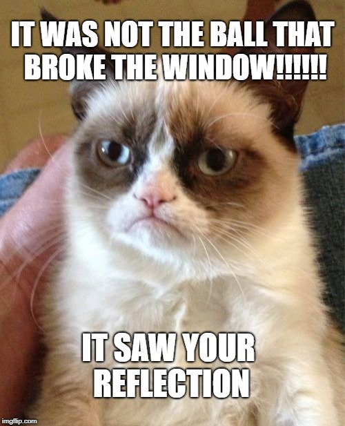 Grumpy Cat Meme | IT WAS NOT THE BALL THAT BROKE THE WINDOW!!!!!! IT SAW YOUR REFLECTION | image tagged in memes,grumpy cat | made w/ Imgflip meme maker