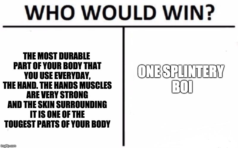 Who Would Win? | ONE SPLINTERY BOI; THE MOST DURABLE PART OF YOUR BODY THAT YOU USE EVERYDAY, THE HAND. THE HANDS MUSCLES ARE VERY STRONG AND THE SKIN SURROUNDING IT IS ONE OF THE TOUGEST PARTS OF YOUR BODY | image tagged in memes,who would win | made w/ Imgflip meme maker