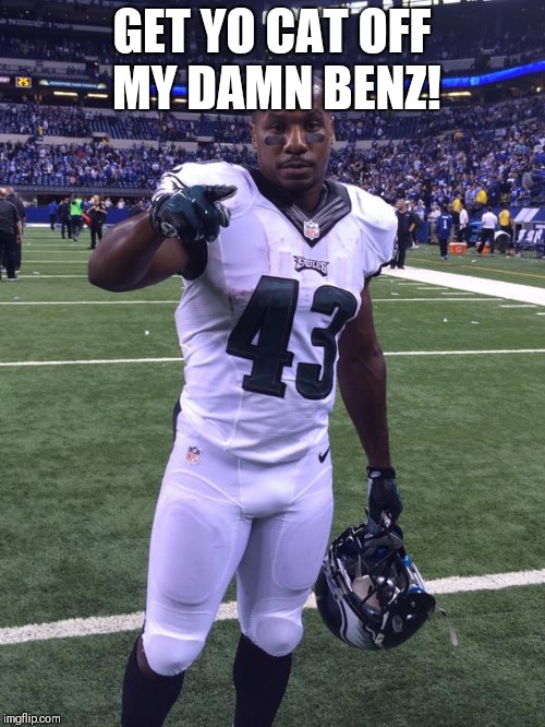 GET YO CAT OFF MY DAMN BENZ! | image tagged in darren sproles | made w/ Imgflip meme maker