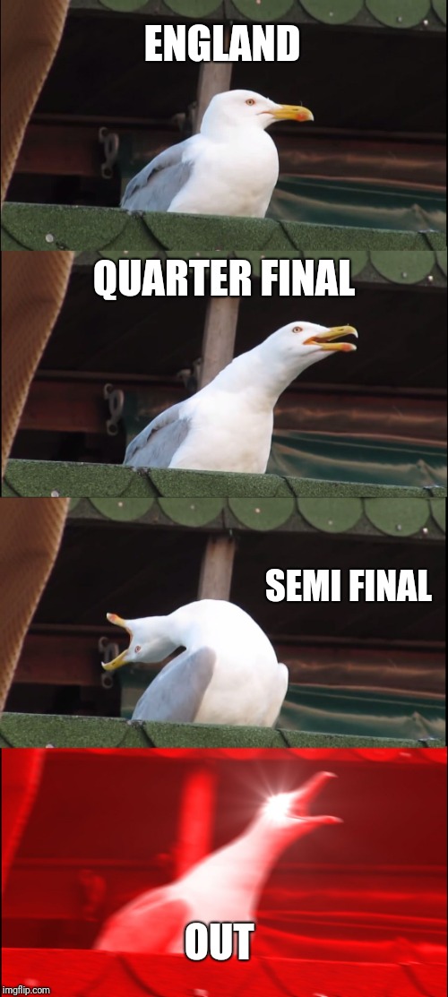 Inhaling Seagull | ENGLAND; QUARTER FINAL; SEMI FINAL; OUT | image tagged in memes,inhaling seagull | made w/ Imgflip meme maker