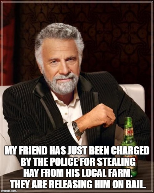 The Most Interesting Man In The World Meme | MY FRIEND HAS JUST BEEN CHARGED BY THE POLICE FOR STEALING HAY FROM HIS LOCAL FARM. 
THEY ARE RELEASING HIM ON BAIL. | image tagged in memes,the most interesting man in the world | made w/ Imgflip meme maker