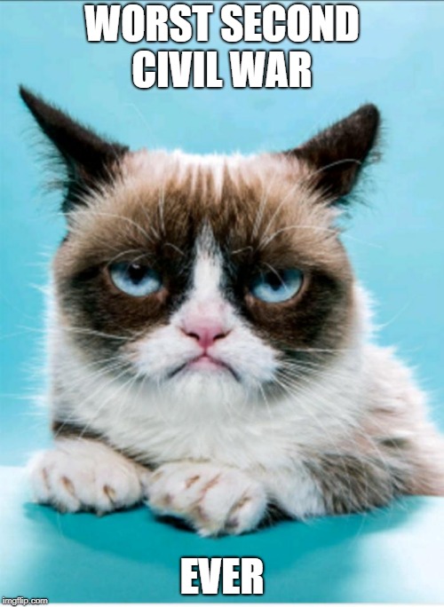 WORST SECOND CIVIL WAR; EVER | image tagged in grumpy cat blank | made w/ Imgflip meme maker