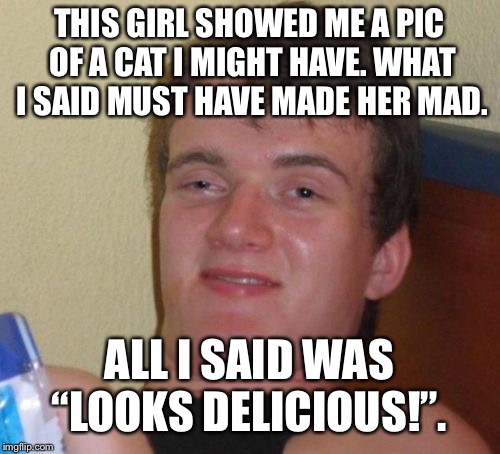10 Guy Meme | THIS GIRL SHOWED ME A PIC OF A CAT I MIGHT HAVE. WHAT I SAID MUST HAVE MADE HER MAD. ALL I SAID WAS “LOOKS DELICIOUS!”. | image tagged in memes,10 guy | made w/ Imgflip meme maker