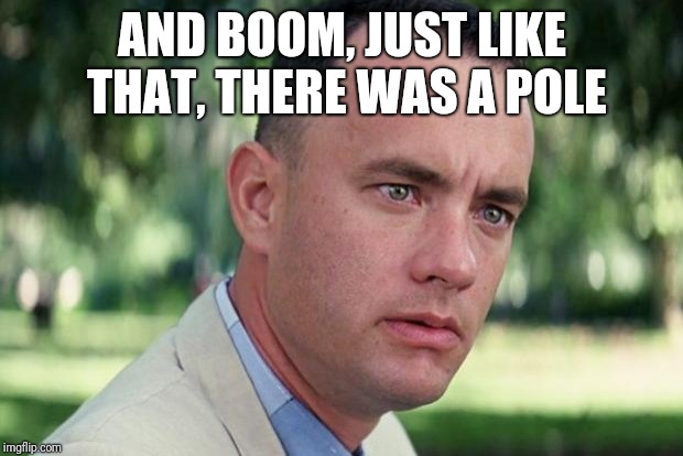 And Just Like That Meme | AND BOOM, JUST LIKE THAT, THERE WAS A POLE | image tagged in forrest gump | made w/ Imgflip meme maker