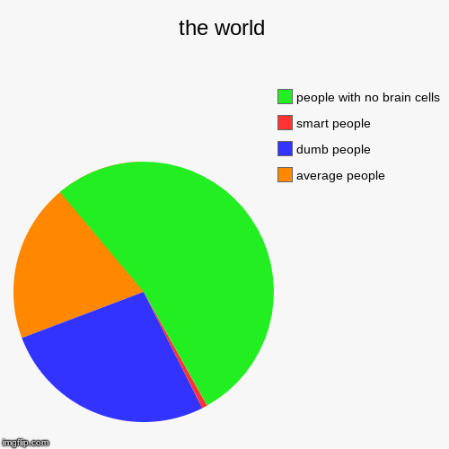 the world | average people, dumb people, smart people, people with no brain cells | image tagged in funny,pie charts | made w/ Imgflip chart maker