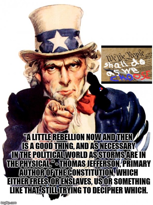 Uncle Sam Meme | "A LITTLE REBELLION NOW AND THEN IS A GOOD THING, AND AS NECESSARY IN THE POLITICAL WORLD AS STORMS ARE IN THE PHYSICAL." - THOMAS JEFFERSON, PRIMARY AUTHOR OF THE CONSTITUTION, WHICH EITHER FREES, OR ENSLAVES, US OR SOMETHING LIKE THAT, STILL TRYING TO DECIPHER WHICH. | image tagged in memes,uncle sam | made w/ Imgflip meme maker