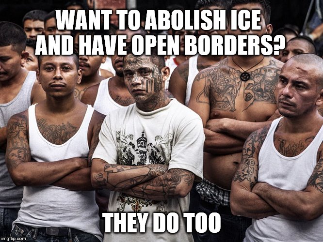 Can someone please help these immigrant children? | WANT TO ABOLISH ICE AND HAVE OPEN BORDERS? THEY DO TOO | image tagged in ms-13 dreamers daca,abolish ice,illegal immigration,build the wall | made w/ Imgflip meme maker