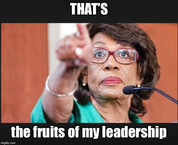 maxine waters  | THAT’S the fruits of my leadership | image tagged in maxine waters | made w/ Imgflip meme maker