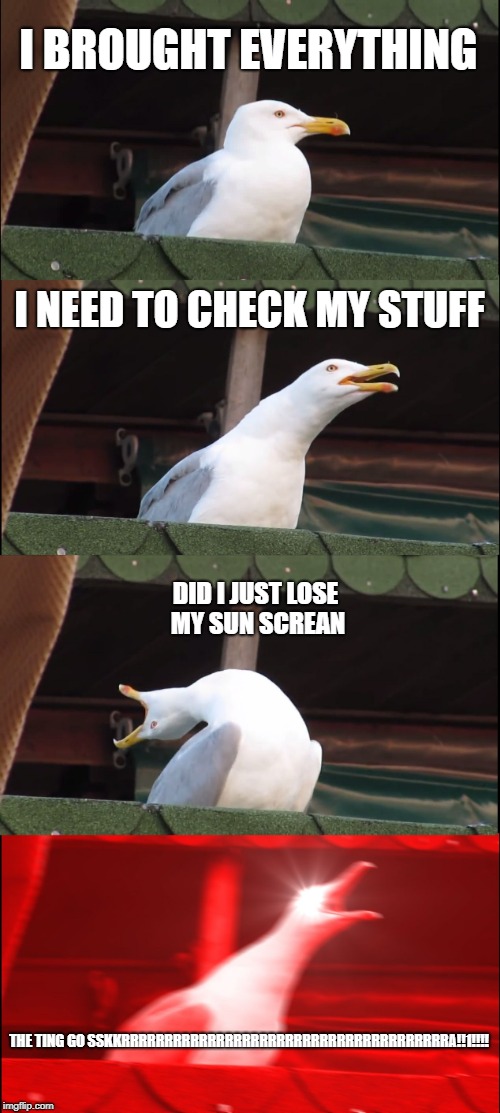 Inhaling Seagull Meme | I BROUGHT EVERYTHING; I NEED TO CHECK MY STUFF; DID I JUST LOSE MY SUN SCREAN; THE TING GO SSKKRRRRRRRRRRRRRRRRRRRRRRRRRRRRRRRRRRRRRRA!!1!!!! | image tagged in memes,inhaling seagull | made w/ Imgflip meme maker