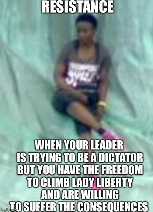 RESISTANCE; WHEN YOUR LEADER IS TRYING TO BE A DICTATOR BUT YOU HAVE THE FREEDOM TO CLIMB LADY LIBERTY AND ARE WILLING TO SUFFER THE CONSEQUENCES | image tagged in lady liberty | made w/ Imgflip meme maker