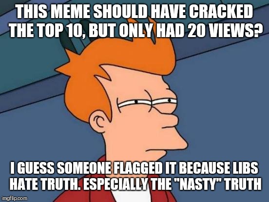 THIS MEME SHOULD HAVE CRACKED THE TOP 10, BUT ONLY HAD 20 VIEWS? I GUESS SOMEONE FLAGGED IT BECAUSE LIBS HATE TRUTH. ESPECIALLY THE "NASTY"  | image tagged in memes,futurama fry | made w/ Imgflip meme maker