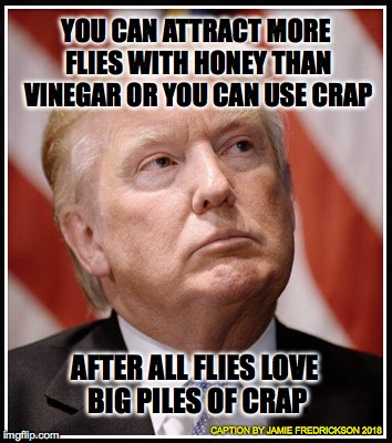 YOU CAN ATTRACT MORE FLIES WITH HONEY THAN VINEGAR OR YOU CAN USE CRAP; AFTER ALL FLIES LOVE BIG PILES OF CRAP; CAPTION BY JAMIE FREDRICKSON 2018 | image tagged in chump | made w/ Imgflip meme maker