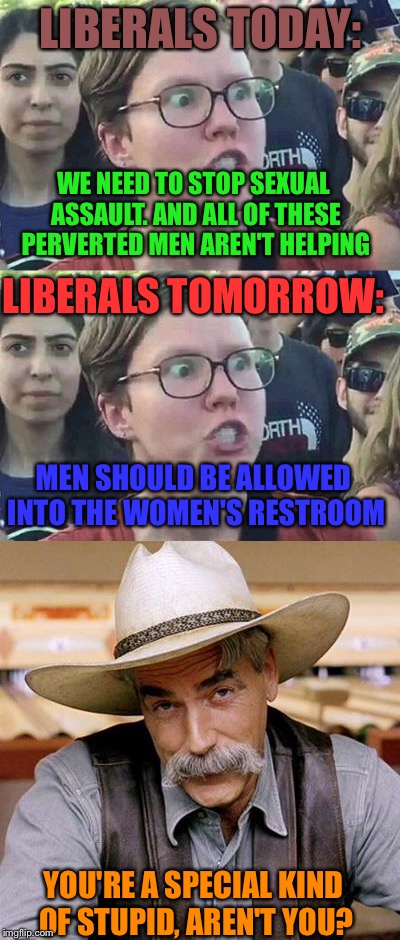  LIBERALS TODAY:; WE NEED TO STOP SEXUAL ASSAULT. AND ALL OF THESE PERVERTED MEN AREN'T HELPING; LIBERALS TOMORROW:; MEN SHOULD BE ALLOWED INTO THE WOMEN'S RESTROOM; YOU'RE A SPECIAL KIND OF STUPID, AREN'T YOU? | image tagged in libtards | made w/ Imgflip meme maker