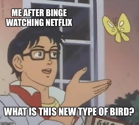 What type of bird is this? | ME AFTER BINGE WATCHING NETFLIX; WHAT IS THIS NEW TYPE OF BIRD? | image tagged in memes,is this a pigeon,bird,butterfly | made w/ Imgflip meme maker