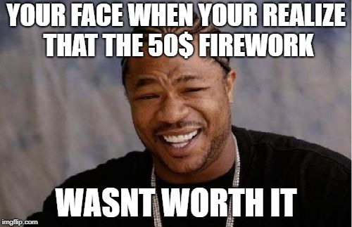Yo Dawg Heard You Meme | YOUR FACE WHEN YOUR REALIZE THAT THE 50$ FIREWORK; WASNT WORTH IT | image tagged in memes,yo dawg heard you | made w/ Imgflip meme maker