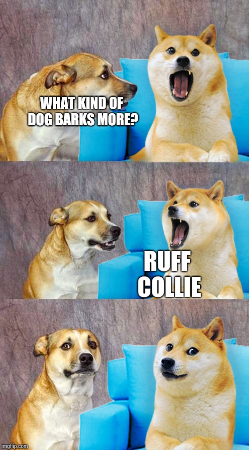 Dad Joke Doge | WHAT KIND OF DOG BARKS MORE? RUFF COLLIE | image tagged in dad joke doge,bork,rough collie | made w/ Imgflip meme maker