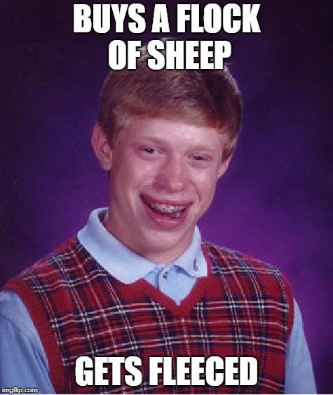 Bad Luck Brian Meme | BUYS A FLOCK OF SHEEP GETS FLEECED | image tagged in memes,bad luck brian | made w/ Imgflip meme maker