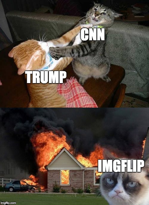 Imgflip's memes are made out of these | CNN; TRUMP; IMGFLIP | image tagged in memes,grumpy cat | made w/ Imgflip meme maker