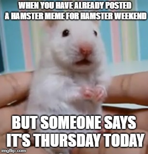 surprised hamster | WHEN YOU HAVE ALREADY POSTED A HAMSTER MEME FOR HAMSTER WEEKEND; BUT SOMEONE SAYS IT'S THURSDAY TODAY | image tagged in memes,cute,animals,hamster weekend,the face you make | made w/ Imgflip meme maker