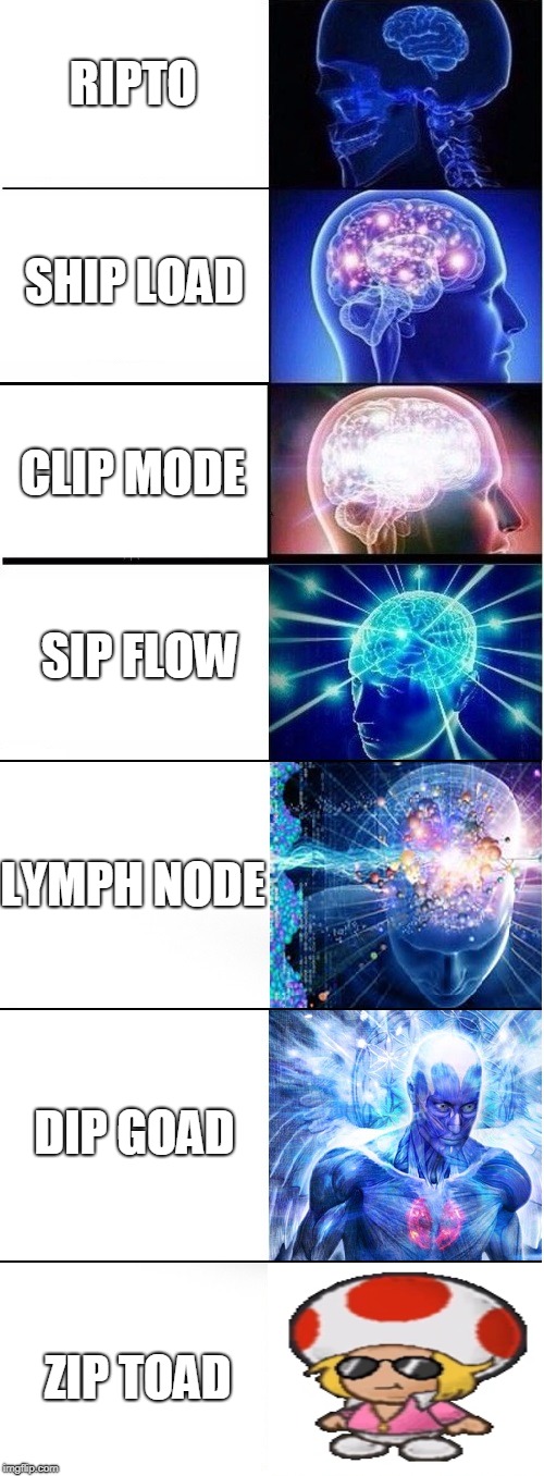 r/Spyro... Again... | RIPTO; SHIP LOAD; CLIP MODE; SIP FLOW; LYMPH NODE; DIP GOAD; ZIP TOAD | image tagged in expanding brain extended 2 | made w/ Imgflip meme maker