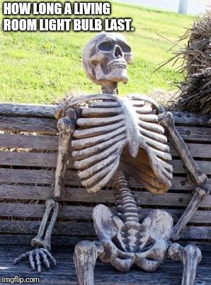 Waiting Skeleton | HOW LONG A LIVING ROOM LIGHT BULB LAST. | image tagged in memes,waiting skeleton | made w/ Imgflip meme maker