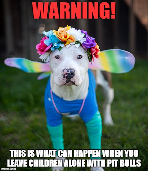 children and pit bulls | WARNING! THIS IS WHAT CAN HAPPEN WHEN YOU LEAVE CHILDREN ALONE WITH PIT BULLS | image tagged in pit bulls,dogs,children,funny | made w/ Imgflip meme maker