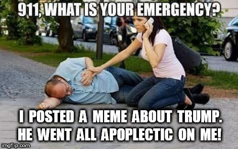 Apoplectic | I  POSTED  A  MEME  ABOUT  TRUMP. HE  WENT  ALL  APOPLECTIC  ON  ME! | image tagged in trump,meme | made w/ Imgflip meme maker