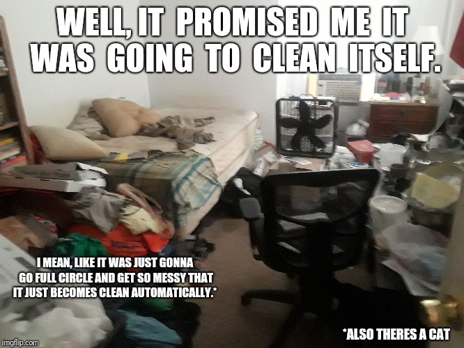 Living with a slob roommate | WELL, IT  PROMISED  ME  IT  WAS  GOING  TO  CLEAN  ITSELF. I MEAN, LIKE IT WAS JUST GONNA GO FULL CIRCLE AND GET SO MESSY THAT IT JUST BECOMES CLEAN AUTOMATICALLY.*; *ALSO THERES A CAT | image tagged in worst room,dirty,roommates,bad smell,balls,sweaty | made w/ Imgflip meme maker