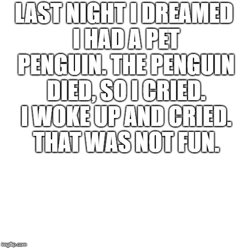 LAST NIGHT I DREAMED I HAD A PET PENGUIN. THE PENGUIN DIED, SO I CRIED. I WOKE UP AND CRIED. THAT WAS NOT FUN. | made w/ Imgflip meme maker
