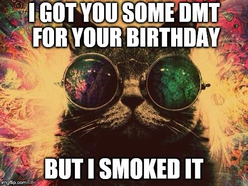 I GOT YOU SOME DMT FOR YOUR BIRTHDAY; BUT I SMOKED IT | image tagged in dmt,cat | made w/ Imgflip meme maker