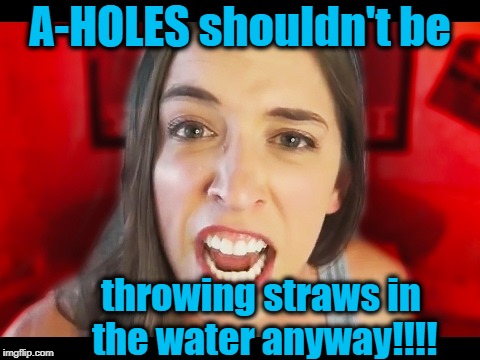 A-HOLES shouldn't be throwing straws in the water anyway!!!! | made w/ Imgflip meme maker