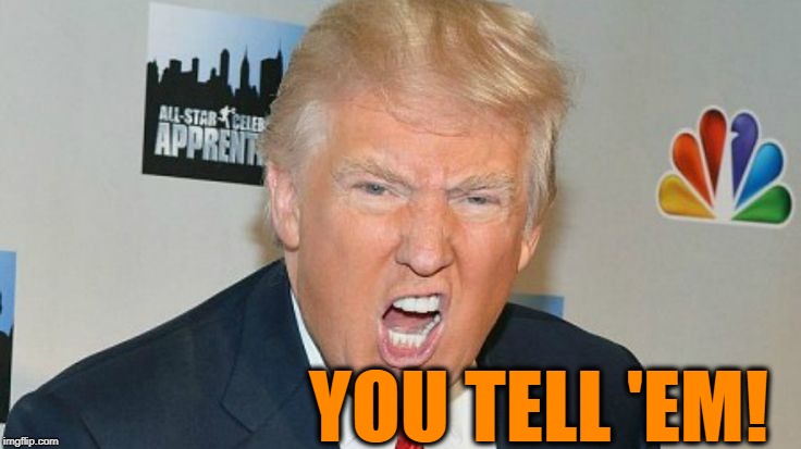 YOU TELL 'EM! | image tagged in trump mad | made w/ Imgflip meme maker