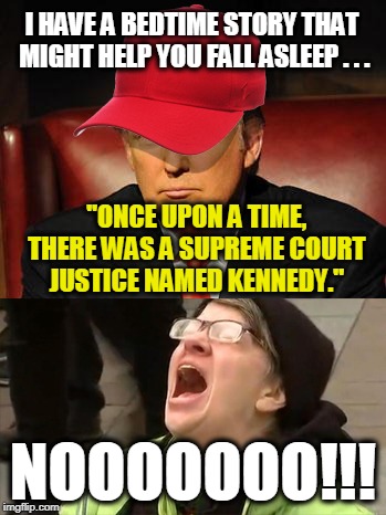 Tormentor in Chief | I HAVE A BEDTIME STORY THAT MIGHT HELP YOU FALL ASLEEP . . . "ONCE UPON A TIME, THERE WAS A SUPREME COURT JUSTICE NAMED KENNEDY."; NOOOOOOO!!! | image tagged in tormentor in chief | made w/ Imgflip meme maker