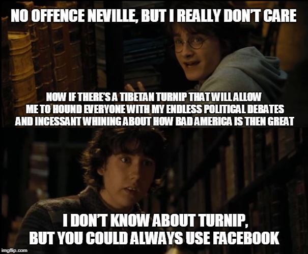Facebook politics meme | NO OFFENCE NEVILLE, BUT I REALLY DON’T CARE; NOW IF THERE’S A TIBETAN TURNIP THAT WILL ALLOW ME TO HOUND EVERYONE WITH MY ENDLESS POLITICAL DEBATES AND INCESSANT WHINING ABOUT HOW BAD AMERICA IS THEN GREAT; I DON’T KNOW ABOUT TURNIP, BUT YOU COULD ALWAYS USE FACEBOOK | image tagged in harry potter i really don't care | made w/ Imgflip meme maker