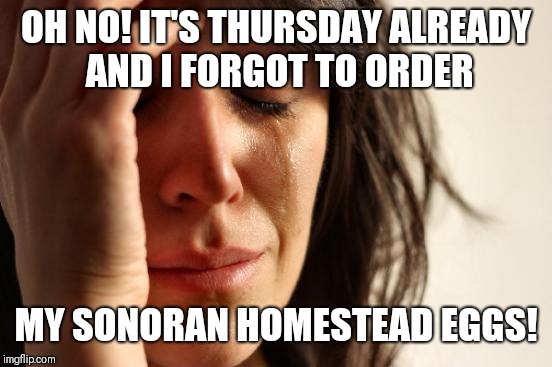 First World Problems | OH NO! IT'S THURSDAY ALREADY AND I FORGOT TO ORDER; MY SONORAN HOMESTEAD EGGS! | image tagged in memes,first world problems | made w/ Imgflip meme maker