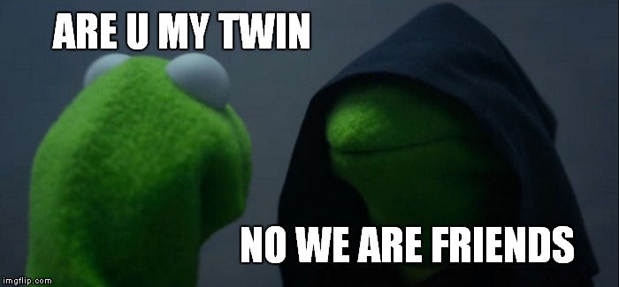 Evil Kermit Meme | ARE U MY TWIN; NO WE ARE FRIENDS | image tagged in memes,evil kermit | made w/ Imgflip meme maker